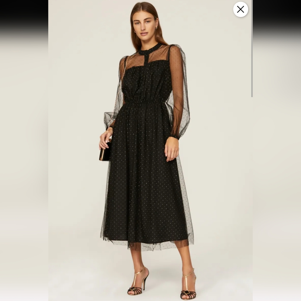 Adam Lippes Point Desprit Midi Organza Dress Size 6 Black/Gold